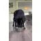No-Spill Floating Disc Dog Water Bowl — view 5